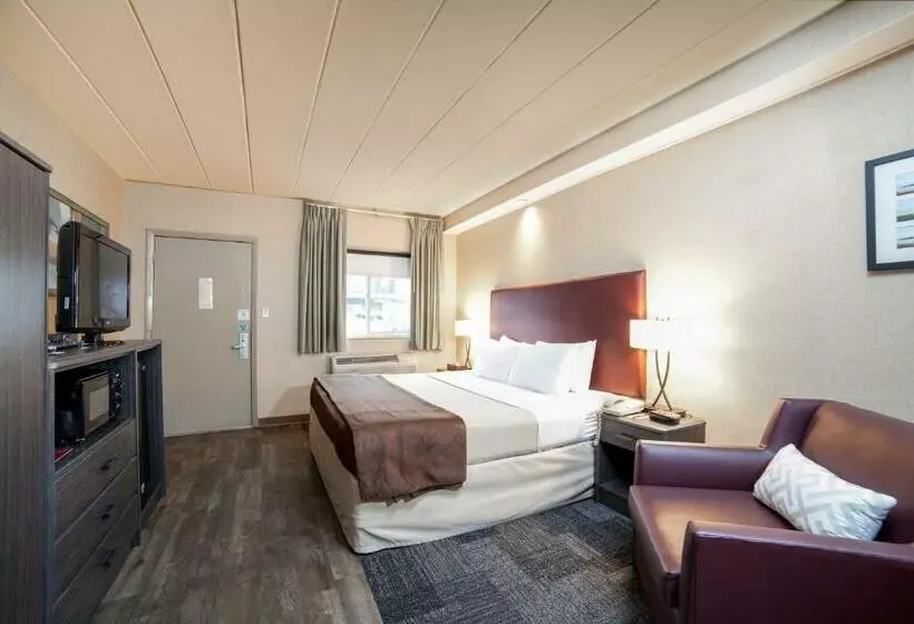 酒店 Carlton Inn Midway