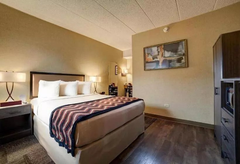 酒店 Carlton Inn Midway