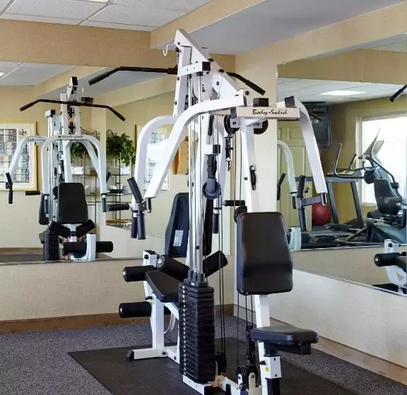 酒店 Carlton Inn Midway