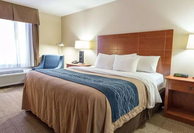 هتل Comfort Inn Civic Center