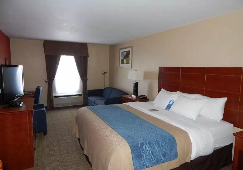 هتل Comfort Inn Civic Center