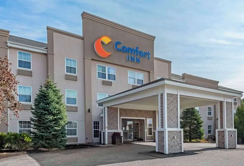 ホテル Comfort Inn Civic Center