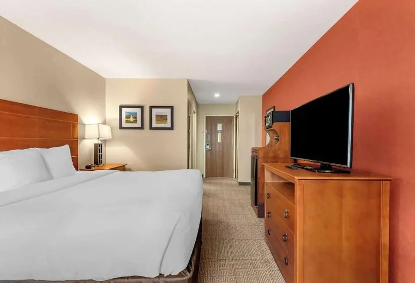ホテル Comfort Inn Civic Center