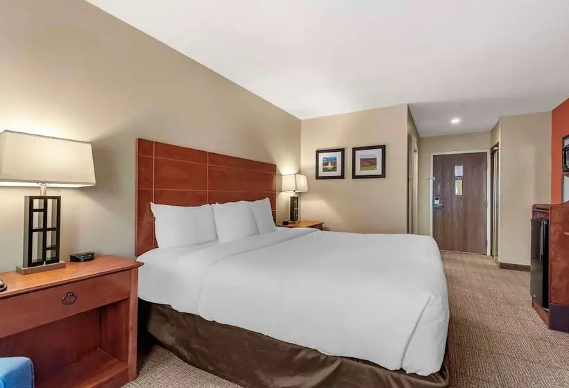 ホテル Comfort Inn Civic Center