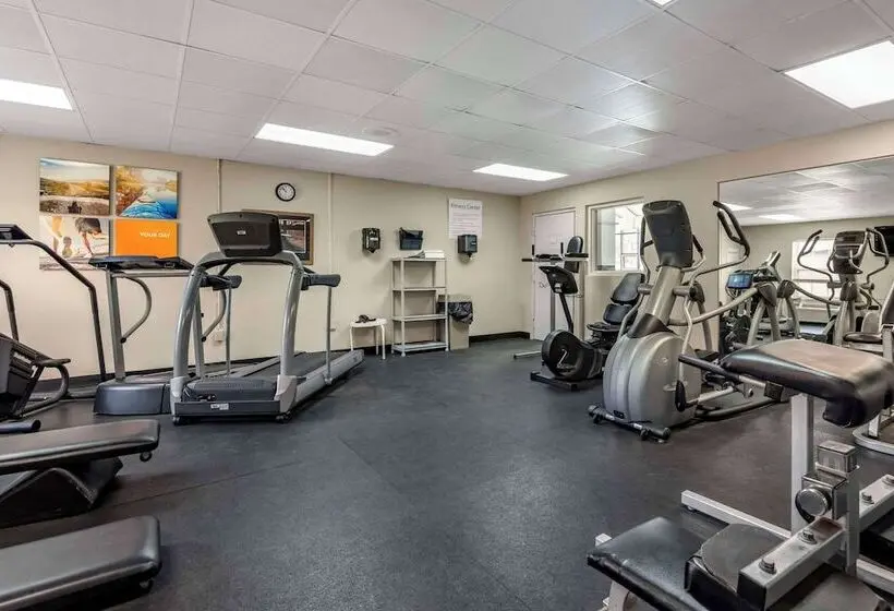 ホテル Comfort Inn Civic Center