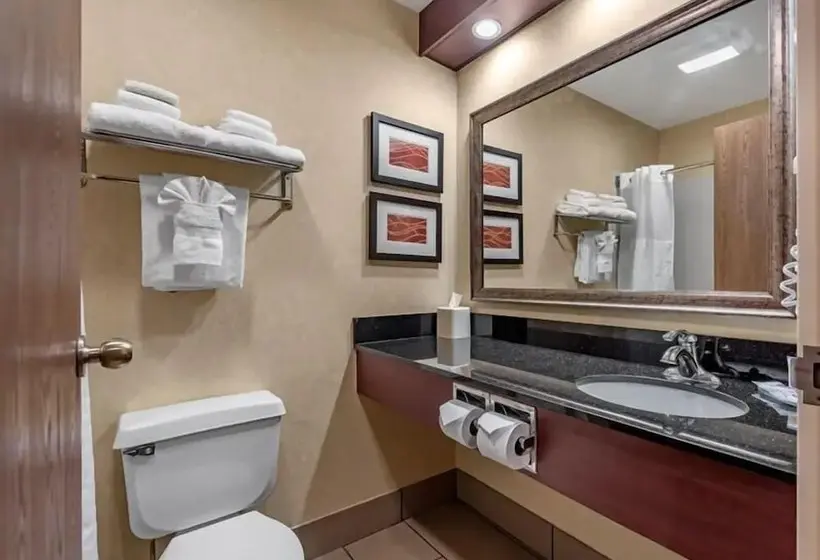 ホテル Comfort Inn Civic Center