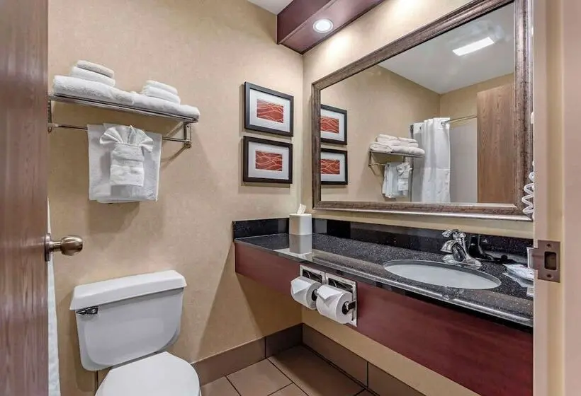 ホテル Comfort Inn Civic Center