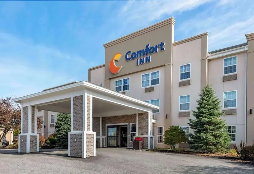 ホテル Comfort Inn Civic Center