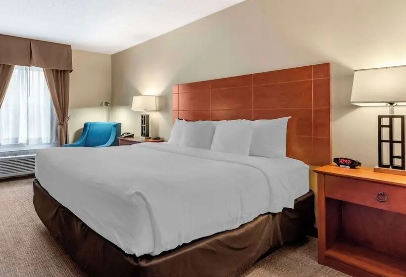 ホテル Comfort Inn Civic Center