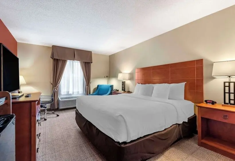 ホテル Comfort Inn Civic Center