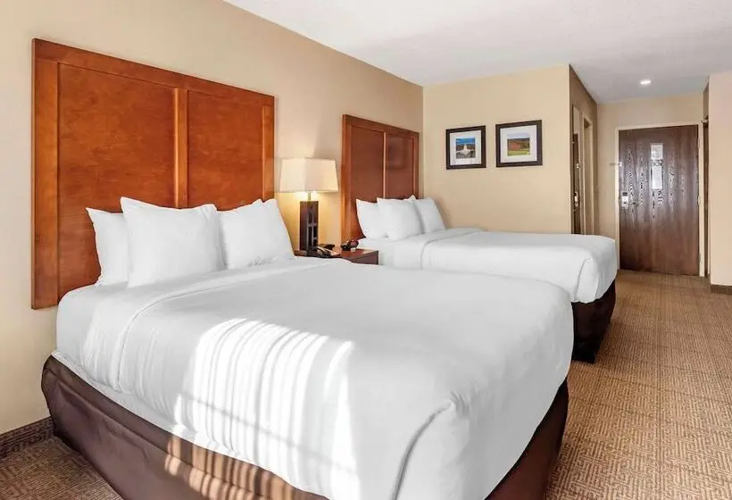 ホテル Comfort Inn Civic Center
