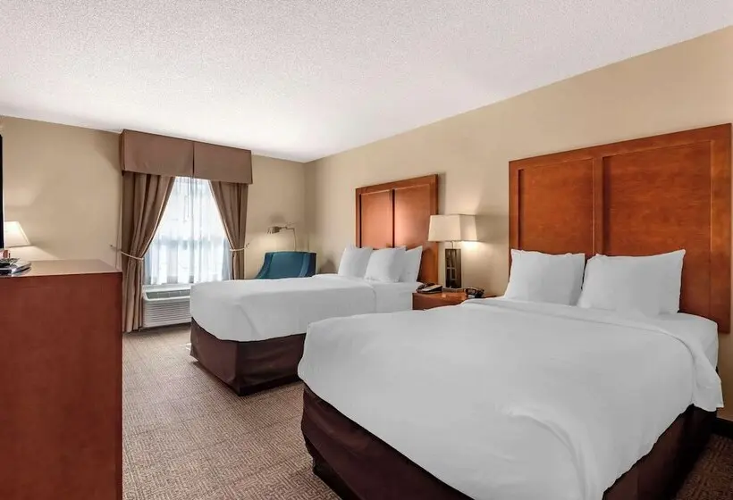 ホテル Comfort Inn Civic Center