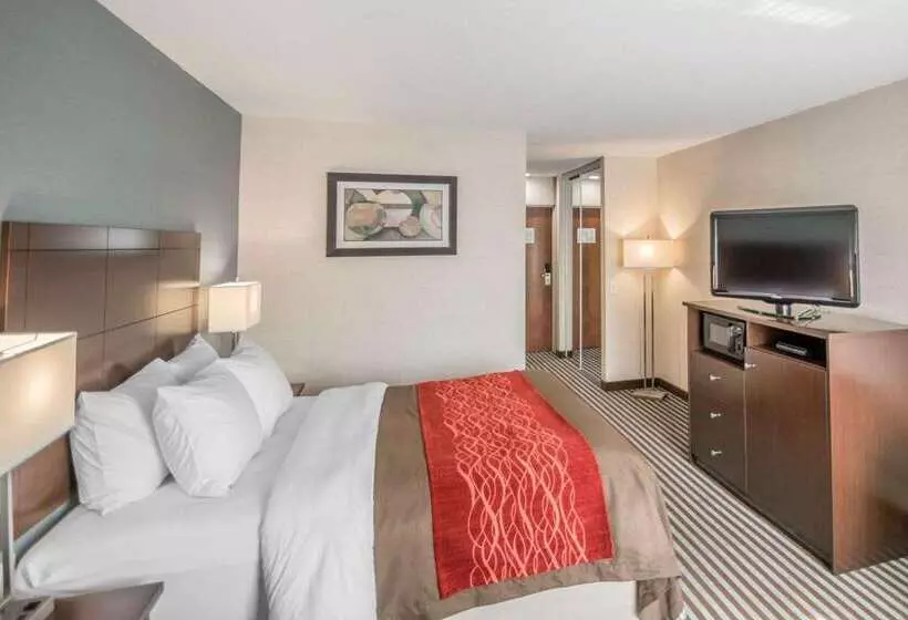 فندق Quality Inn