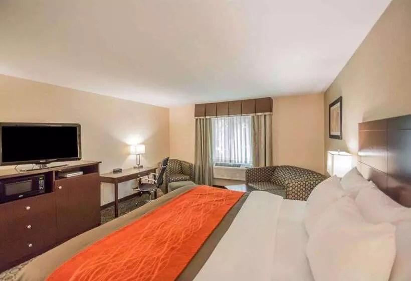 فندق Quality Inn