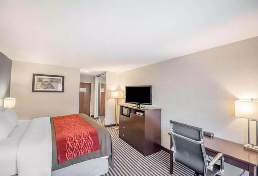 فندق Quality Inn