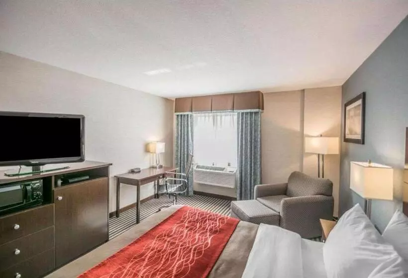 فندق Quality Inn