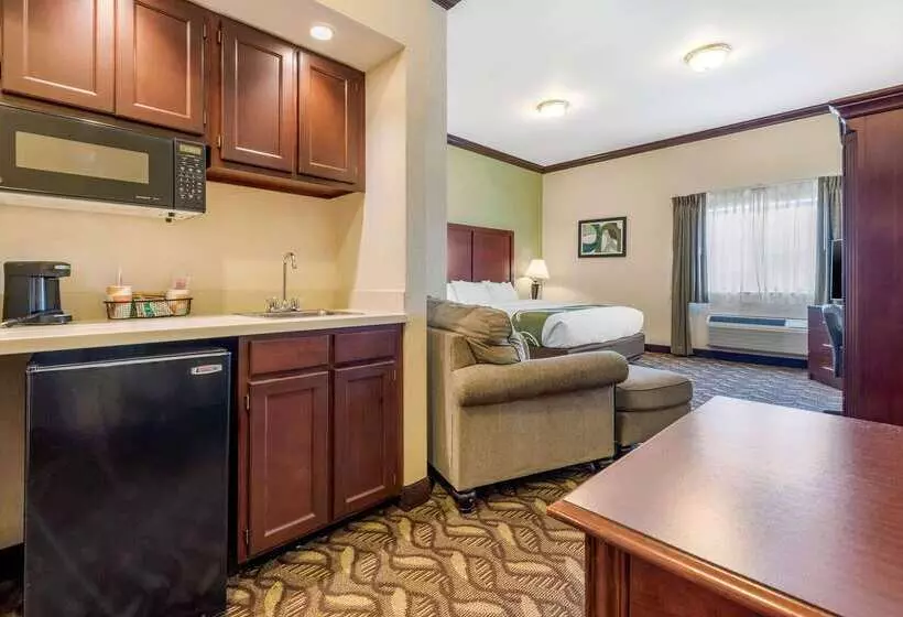 فندق Quality Inn & Suites