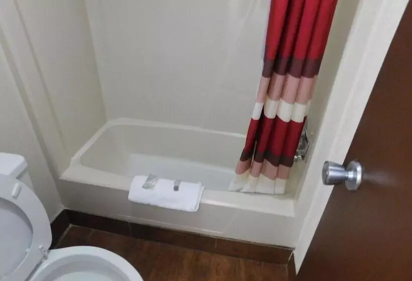 Отель Red Roof Inn Ann Arbor  U Of Michigan South