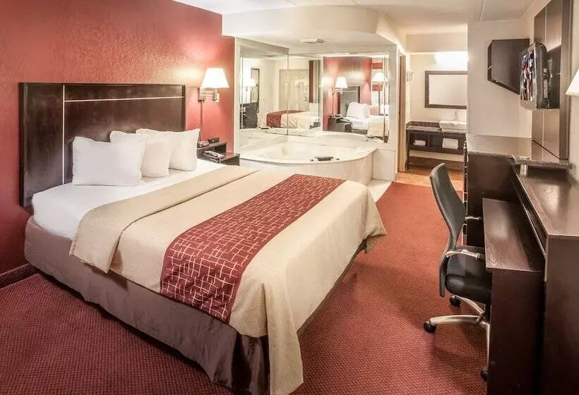 Отель Red Roof Inn Ann Arbor  U Of Michigan South