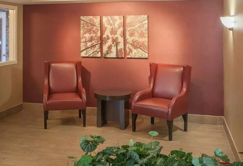 Отель Red Roof Inn Ann Arbor  U Of Michigan South