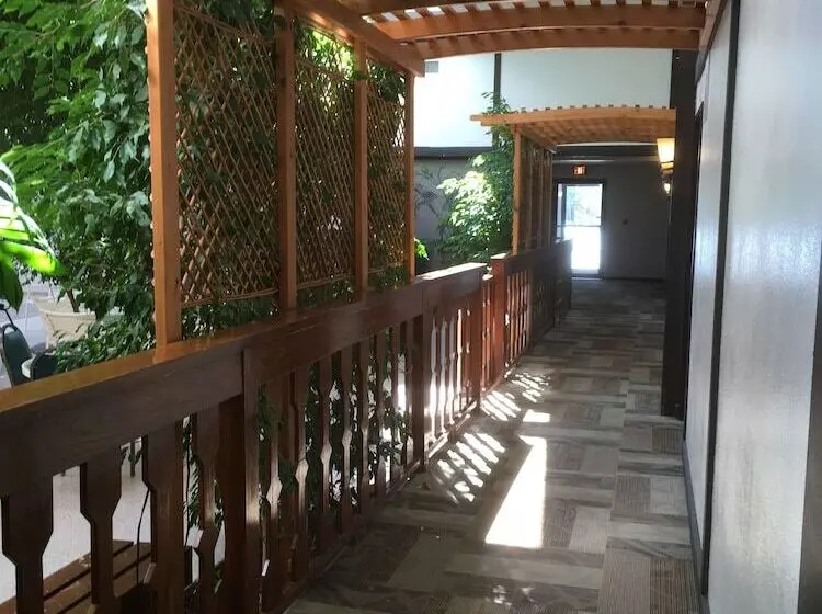 בית מלון כפרי Shawano Four Seasons