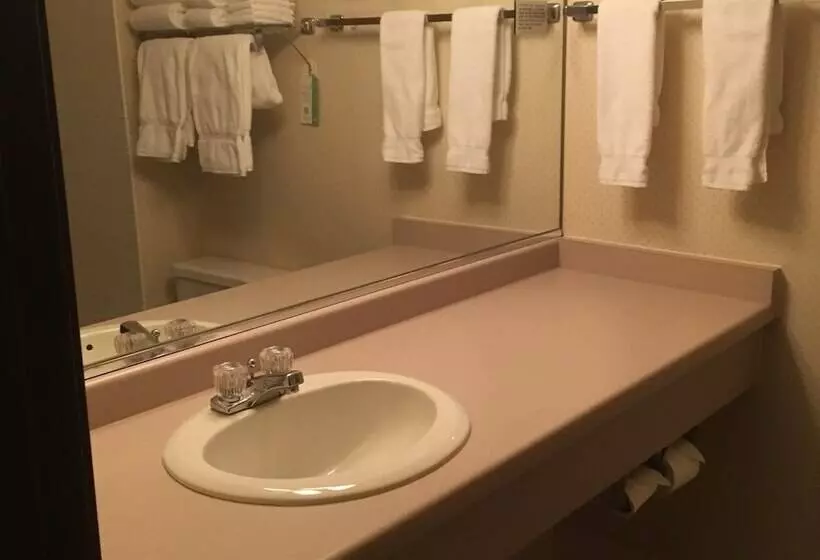 בית מלון כפרי Shawano Four Seasons