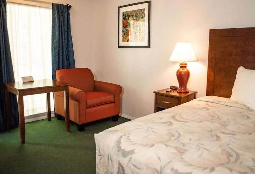 בית מלון כפרי Wayfarer Inn Woodward