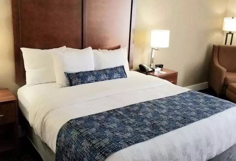 فندق Best Western Plus Greenville I385 Inn & Suites
