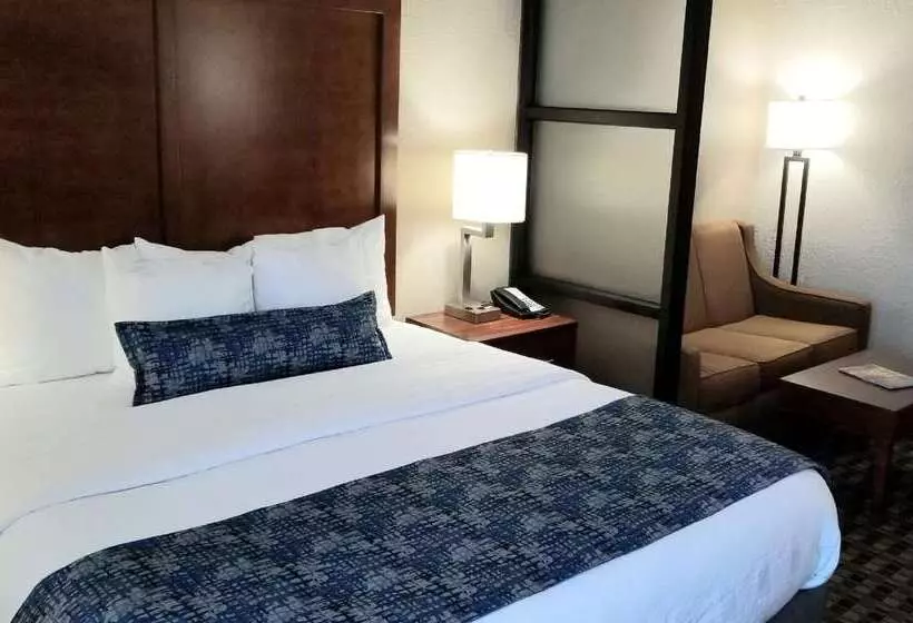 فندق Best Western Plus Greenville I385 Inn & Suites