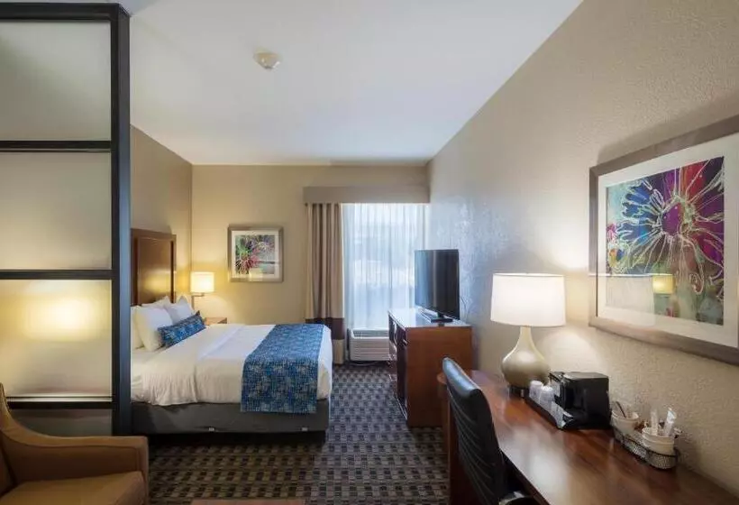 فندق Best Western Plus Greenville I385 Inn & Suites