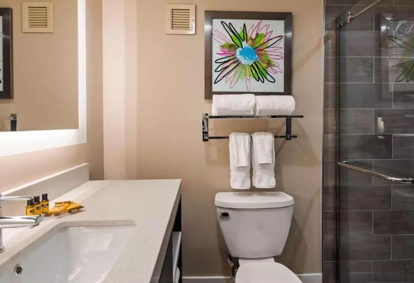 فندق Best Western Plus Greenville I385 Inn & Suites