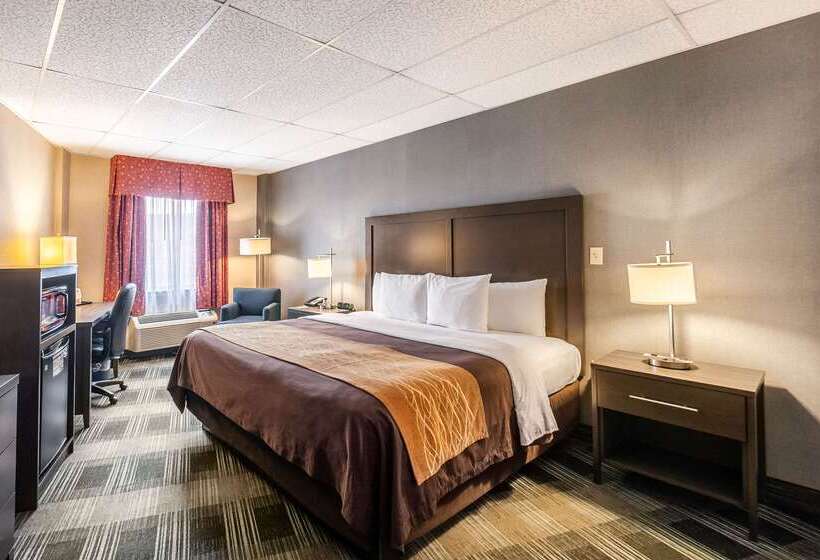 فندق Comfort Inn Ballston