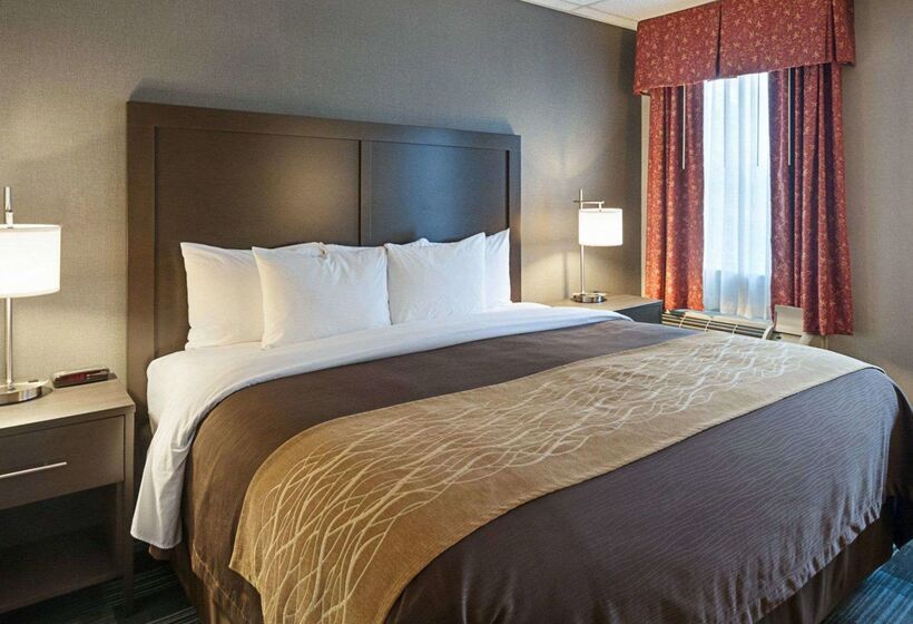 فندق Comfort Inn Ballston