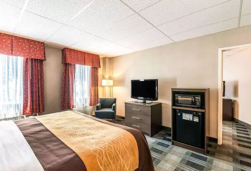 Отель Comfort Inn Ballston