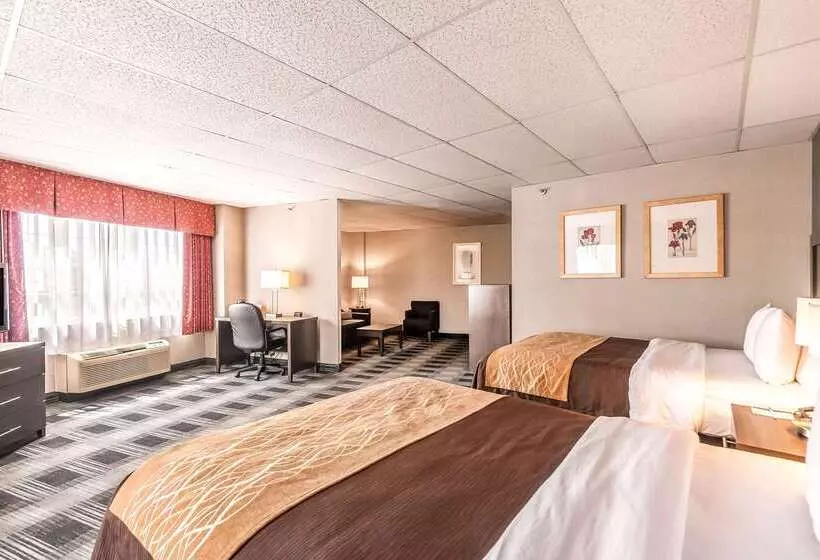 Отель Comfort Inn Ballston