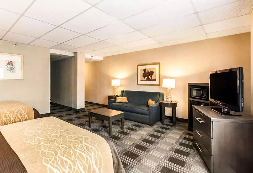 Отель Comfort Inn Ballston