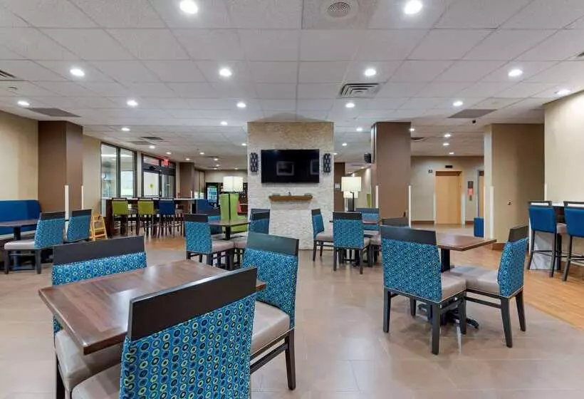 Otel Comfort Inn Binghamton I81