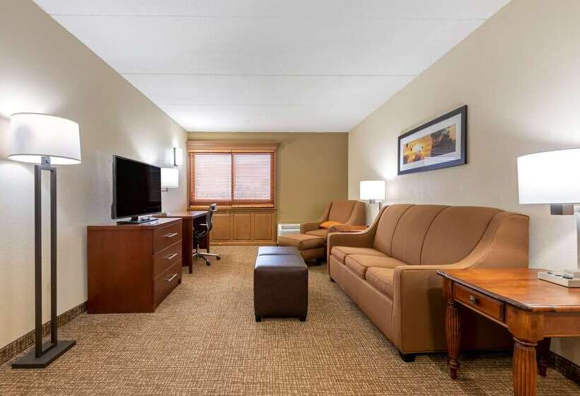 호텔 Comfort Inn Binghamton I81