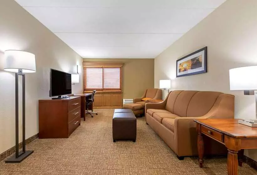 Otel Comfort Inn Binghamton I81