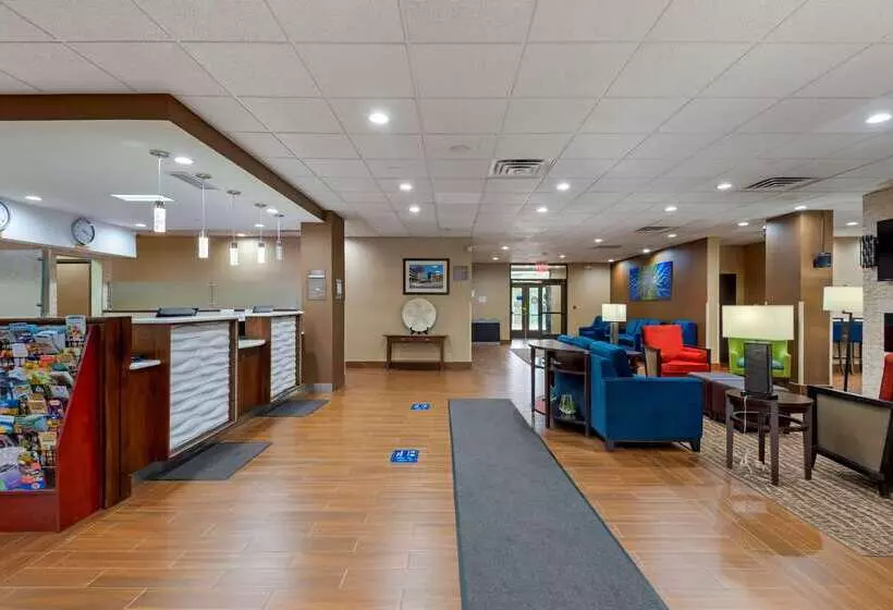 Otel Comfort Inn Binghamton I81