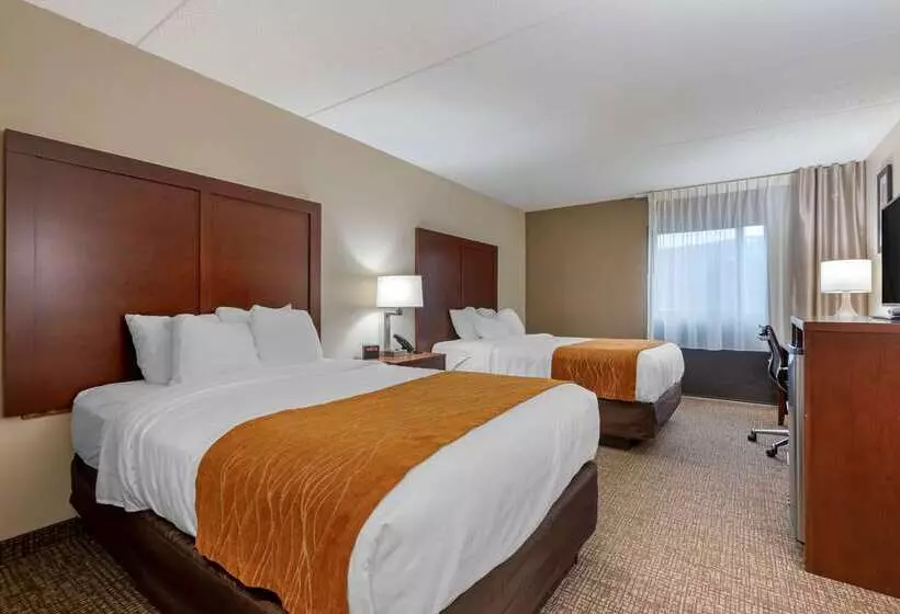 Otel Comfort Inn Binghamton I81