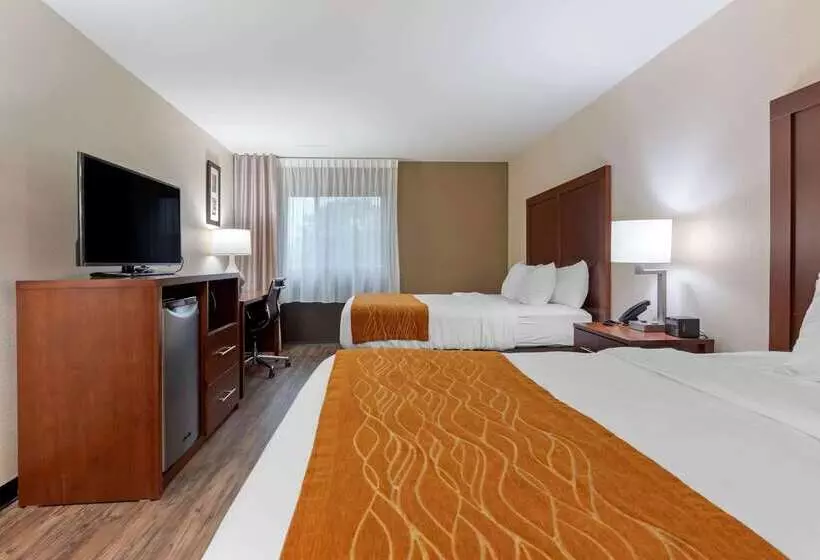 Otel Comfort Inn Binghamton I81