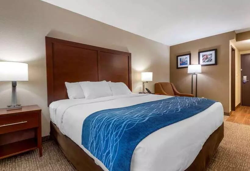 Otel Comfort Inn Binghamton I81