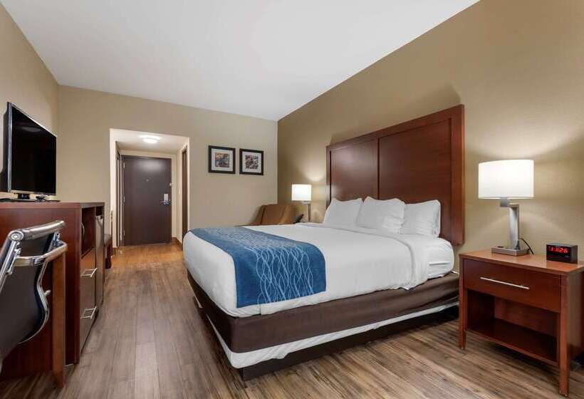 فندق Comfort Inn Binghamton I81