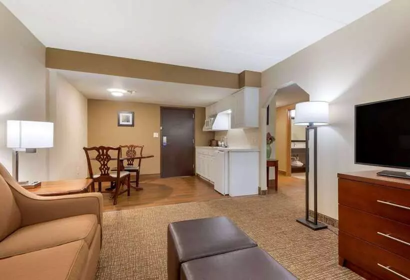 Otel Comfort Inn Binghamton I81
