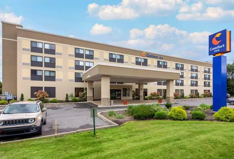 Otel Comfort Inn Binghamton I81