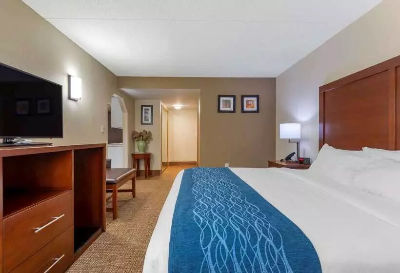 Otel Comfort Inn Binghamton I81