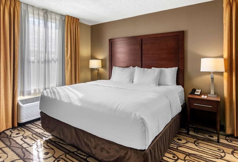 Отель Comfort Inn & Suites