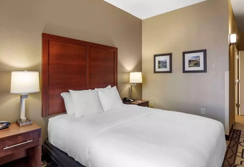 هتل Comfort Inn & Suites