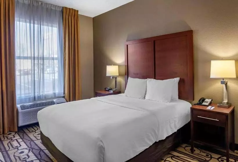 هتل Comfort Inn & Suites